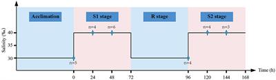 Interactive Regulations of Dynamic Methylation and Transcriptional Responses to Recurring Environmental Stresses During Biological Invasions